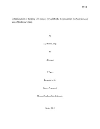 imagen representativa predeterminada